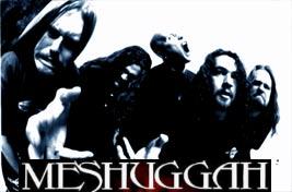 Meshuggah
